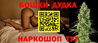 альфа пвп Новодвинск