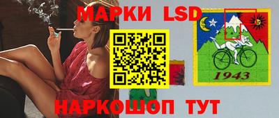 альфа пвп Новодвинск