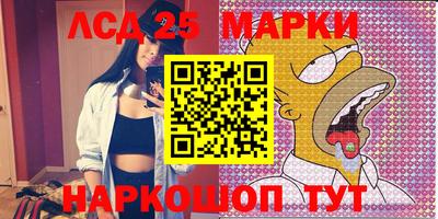альфа пвп Новодвинск